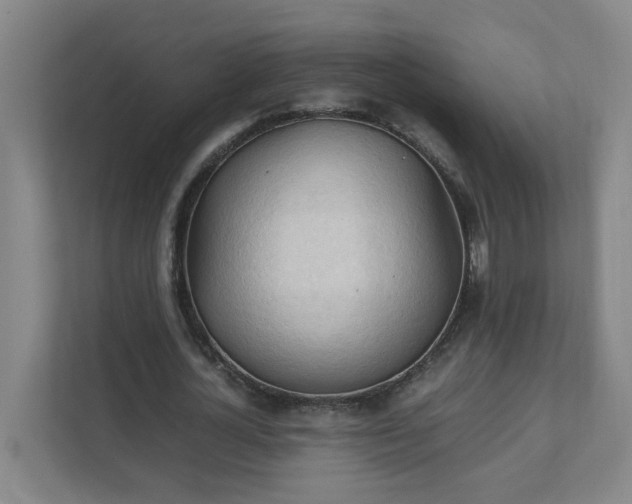 X0000111950724200908031157