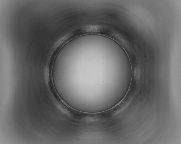 X0000111950725200908031157