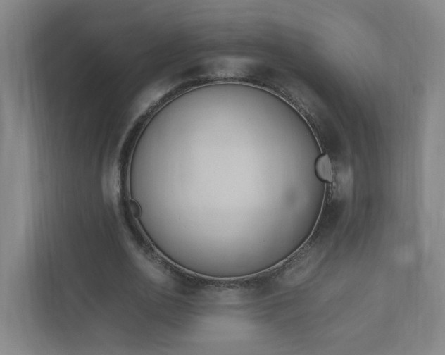 X0000111950726200908031157