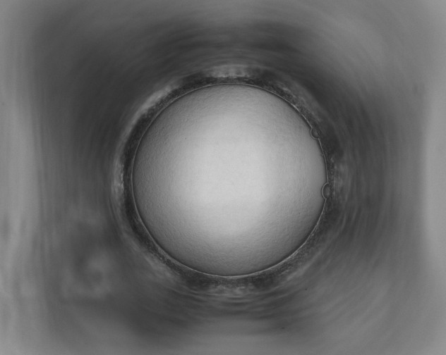 X0000111950727200908031157