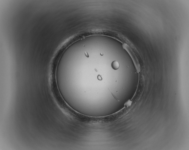 X0000111950728200908031157
