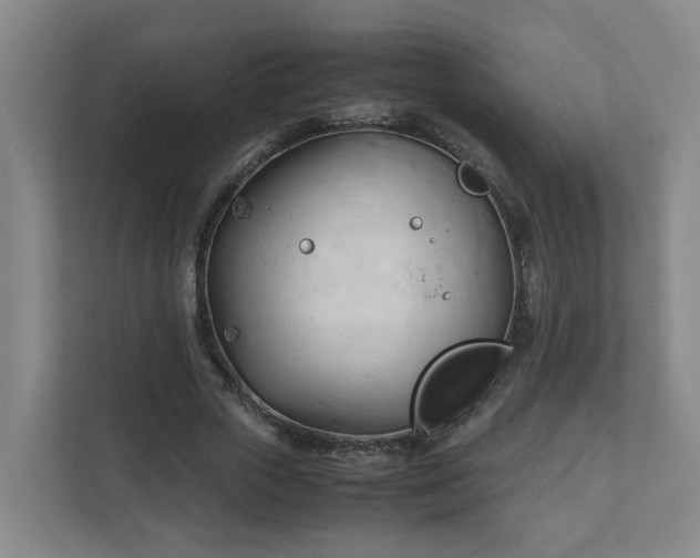 X0000111950729200908031157