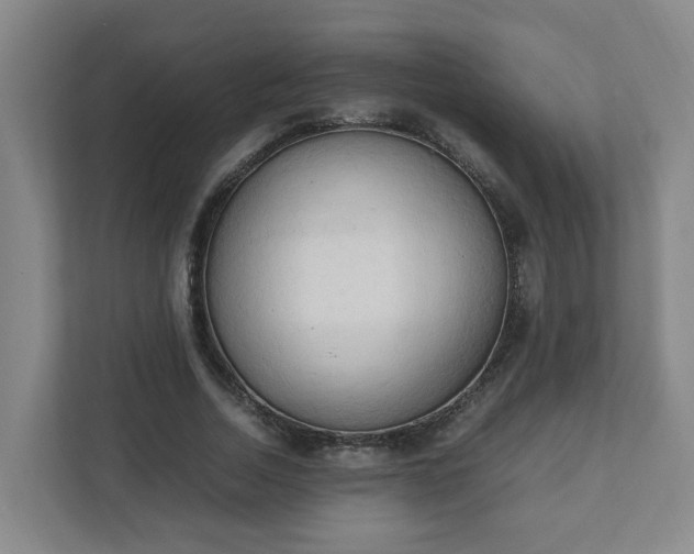 X0000111950730200908031157