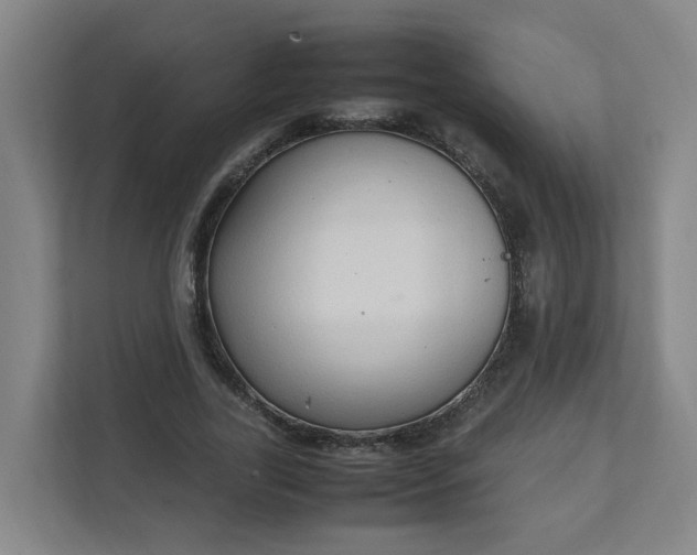 X0000111950731200908031157