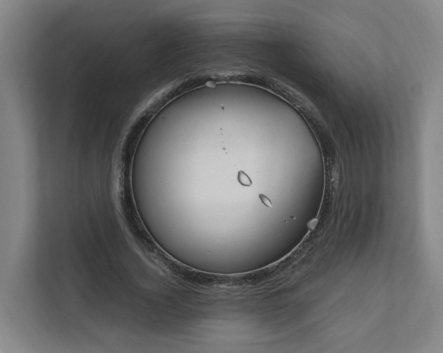 X0000111950732200908031157