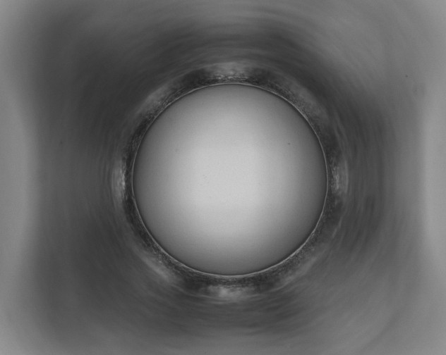 X0000111950733200908031157