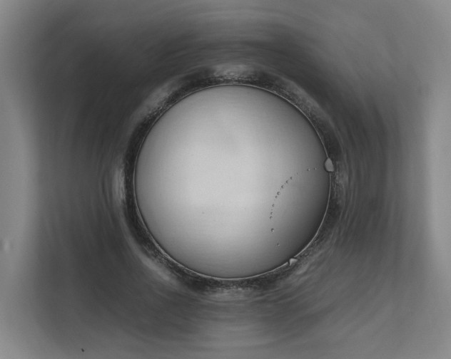 X0000111950734200908031157