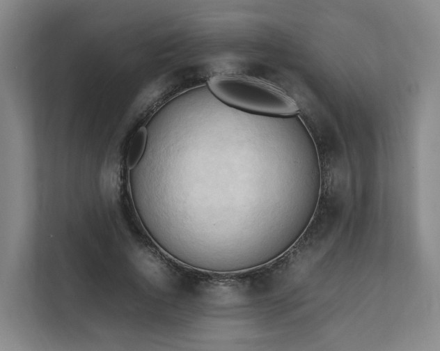 X0000111950736200908031157