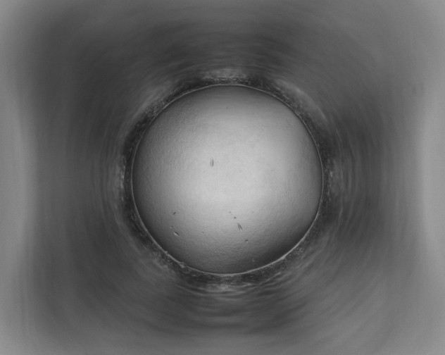 X0000111950739200908031158