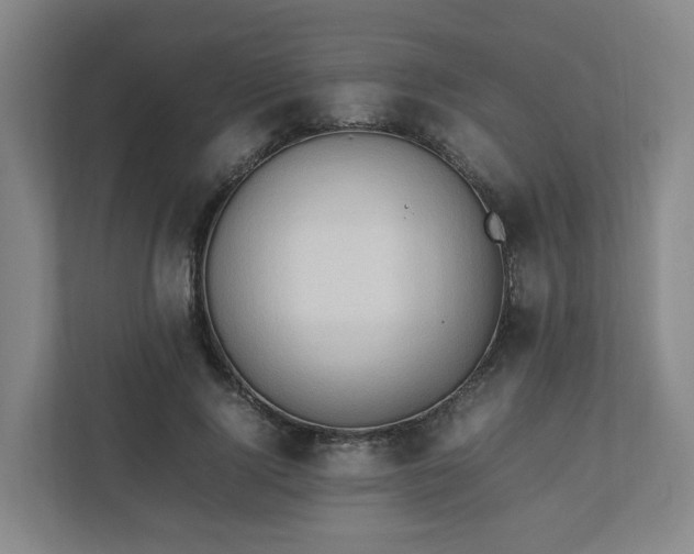 X0000111950740200908031158