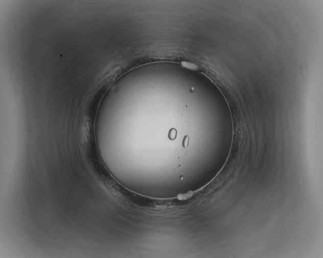X0000111950744200908031158
