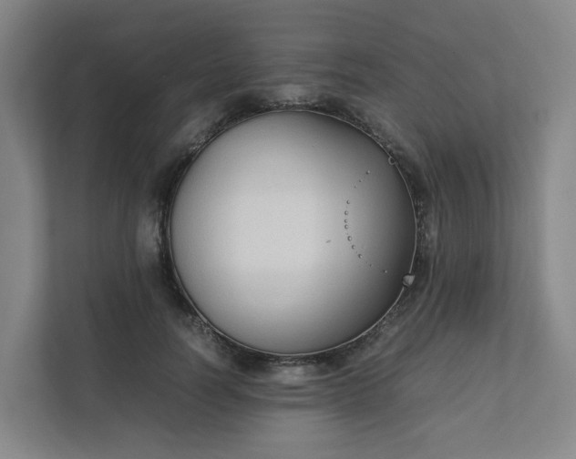 X0000111950746200908031158