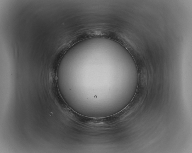 X0000111950747200908031158