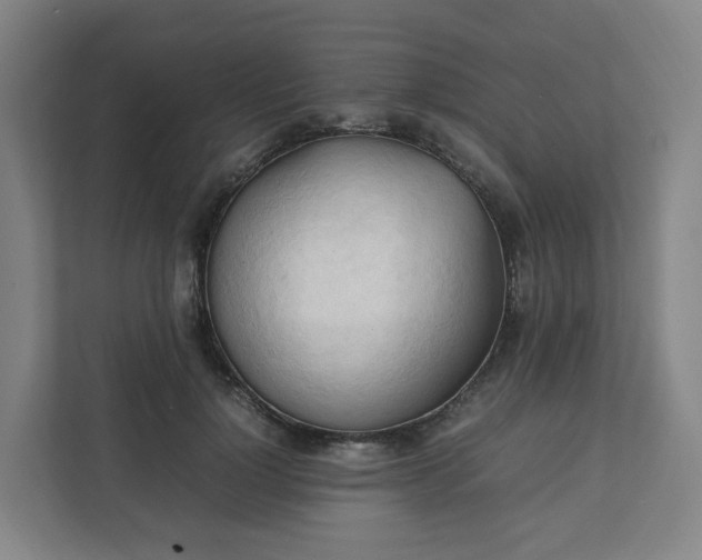 X0000111950748200908031158