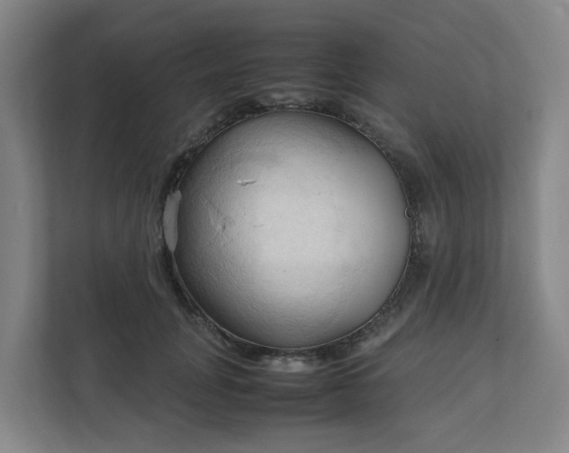X0000111950751200908031158