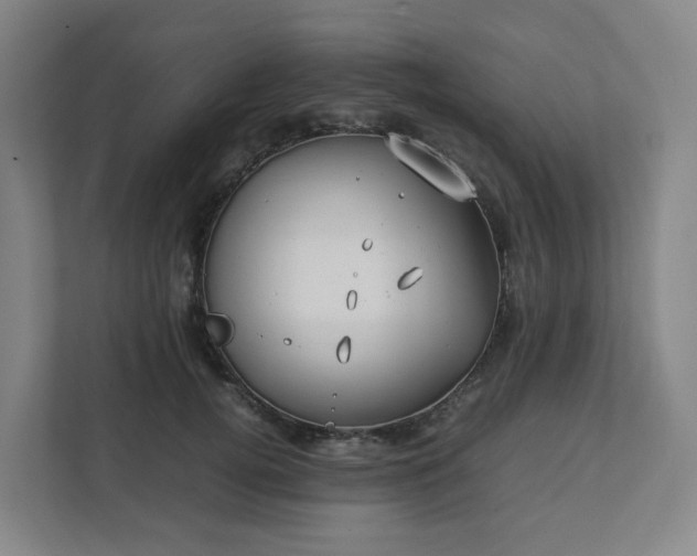 X0000111950752200908031158