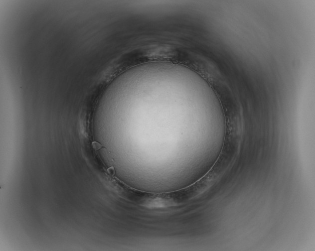 X0000111950755200908031158