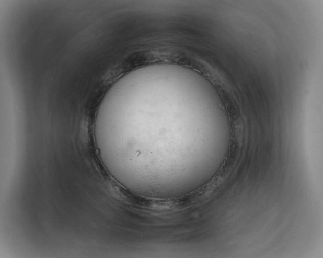 X0000111950757200908031158