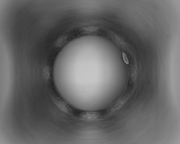 X0000111950758200908031158
