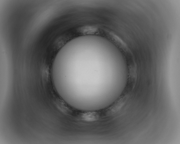 X0000111950761200908031158