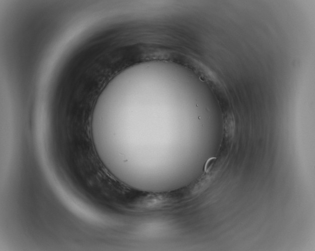 X0000111950764200908031158