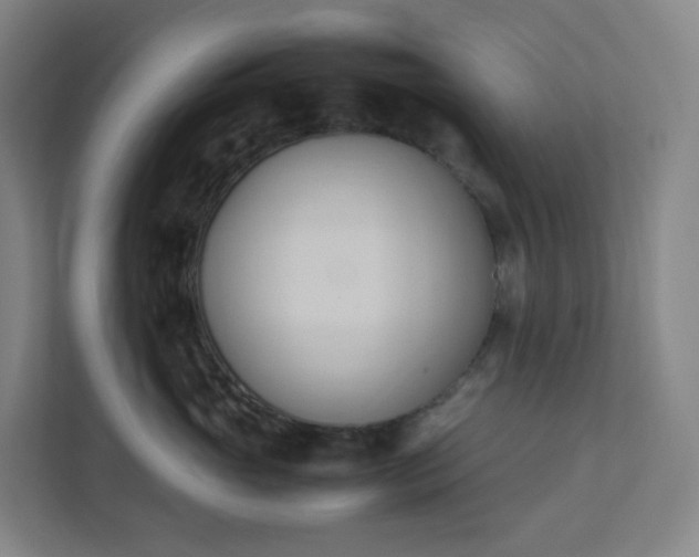 X0000111950765200908031158