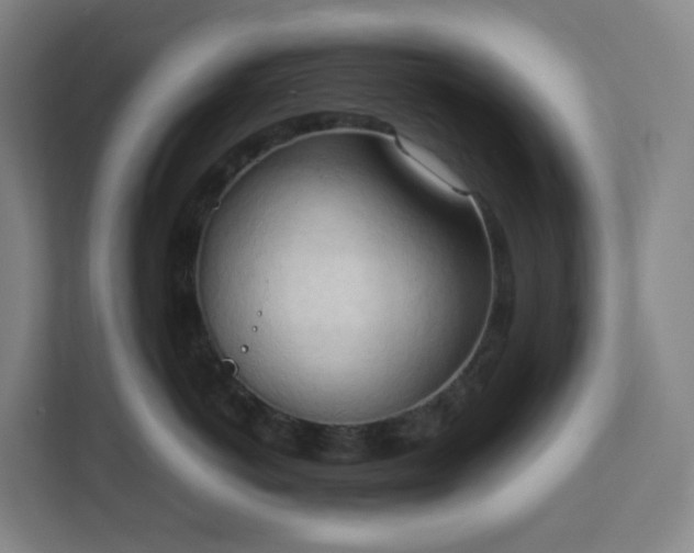 X0000111950766200908031158