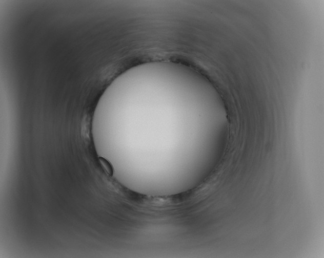 X0000111950768200908031158