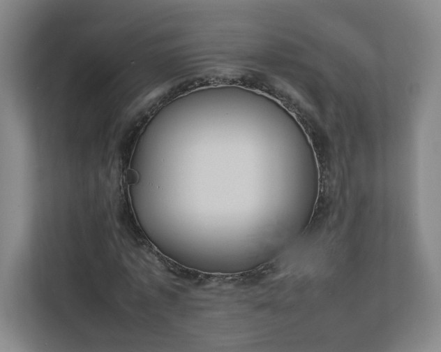X0000111950773200908031157
