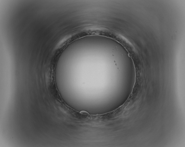 X0000111950775200908031157
