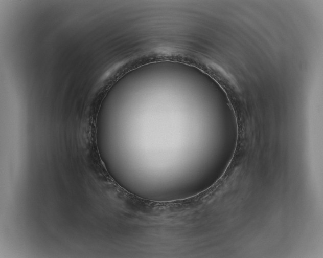 X0000111950776200908031157