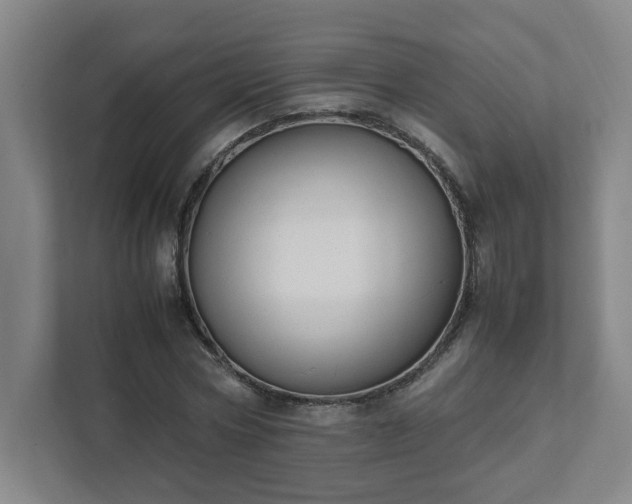 X0000111950778200908031157