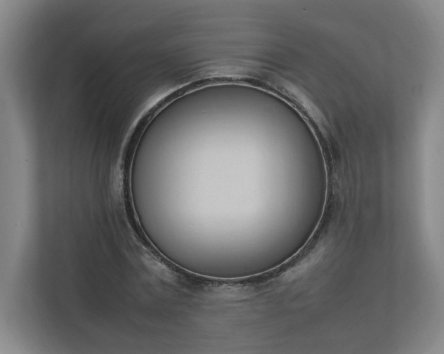 X0000111950779200908031157