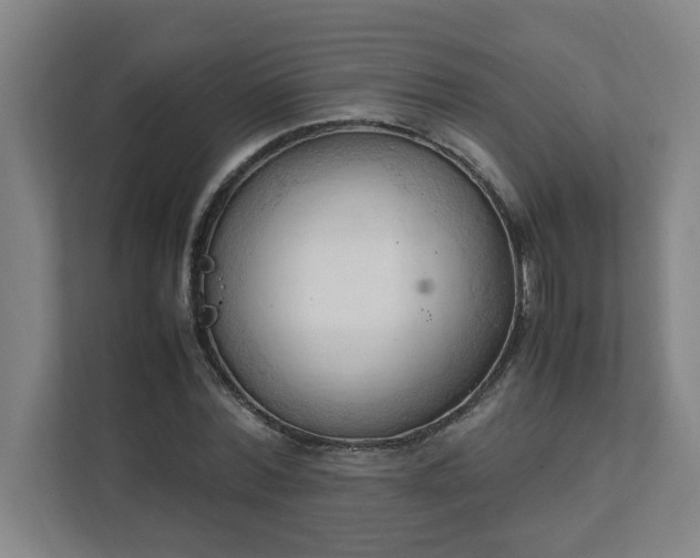 X0000111950780200908031157