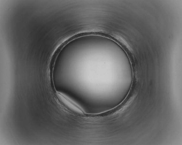 X0000111950781200908031157