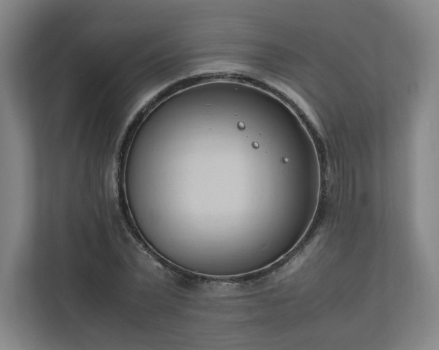 X0000111950783200908031157