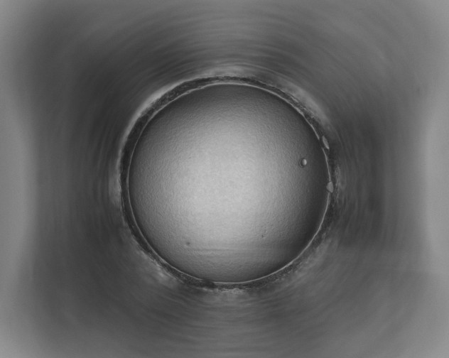X0000111950784200908031157