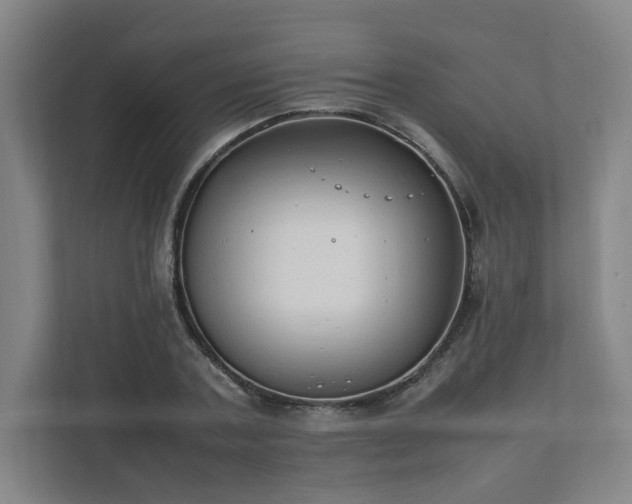 X0000111950787200908031157