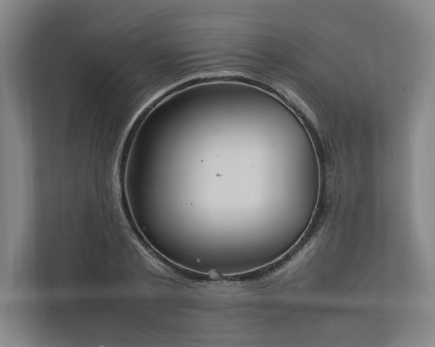X0000111950789200908031157