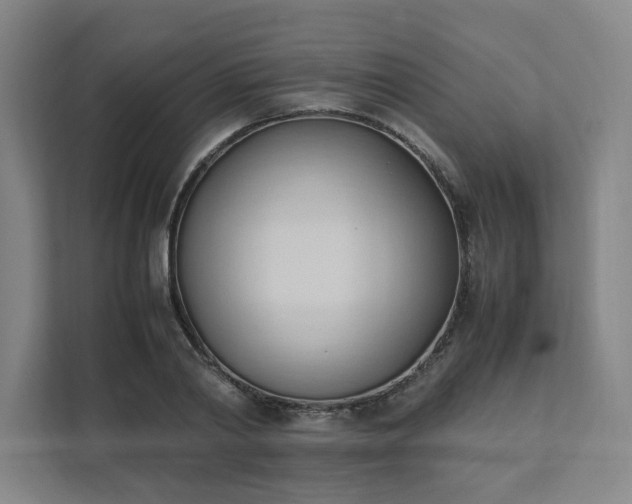 X0000111950790200908031157