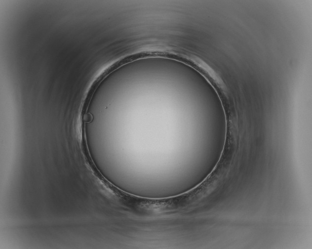 X0000111950791200908031157