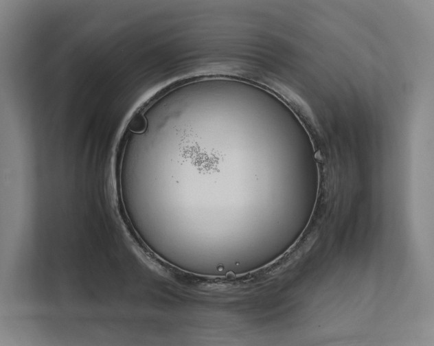 X0000111950792200908031157