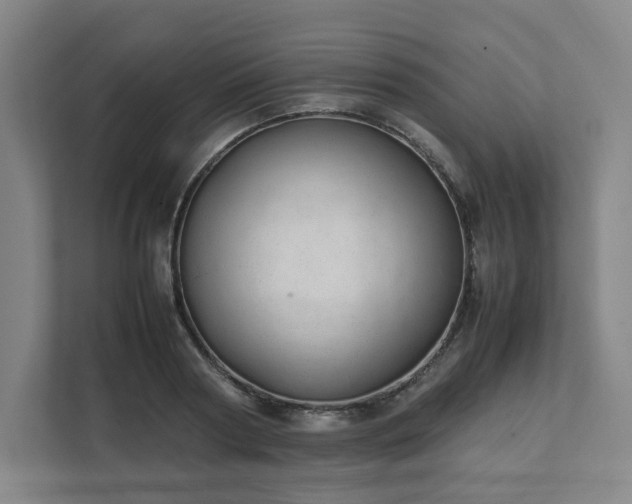 X0000111950794200908031157