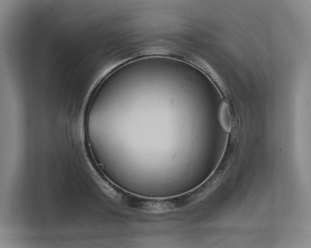 X0000111950795200908031157