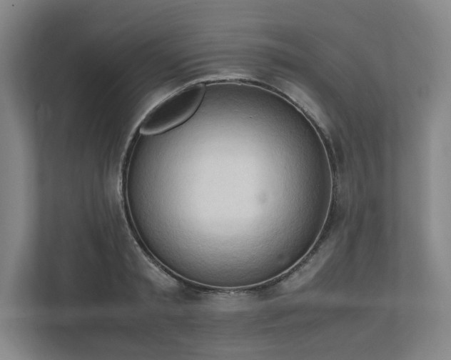 X0000111950797200908031157