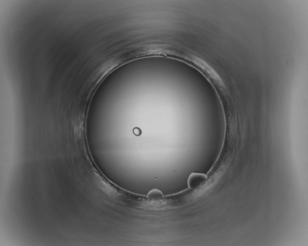 X0000111950801200908031157