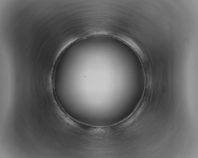 X0000111950806200908031157