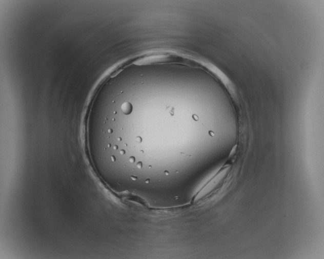 X0000111950807200908031157
