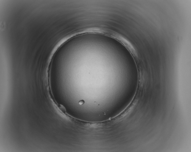 X0000111950808200908031157