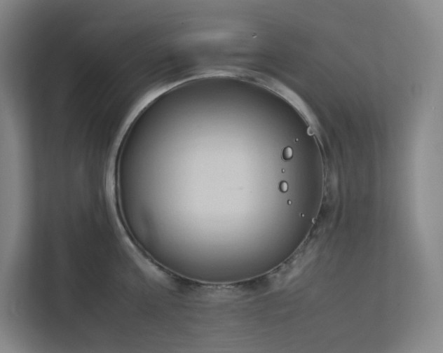 X0000111950811200908031157